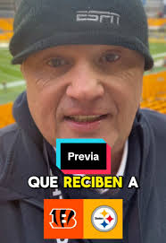 Pittsburgh Steelers vs Cincinnati Bengals: Clima y Previas