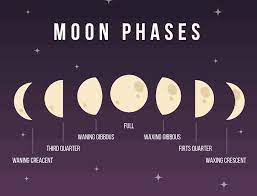 Moon Goes Through 8 Phases A New Moon A Solar Eclipse A Waxing Crescent The First Quarter Moon A Waxing Gibbous Moon Moon Phases Moon Journal Moon