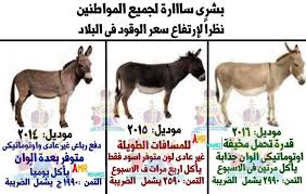 مدونة أروى 