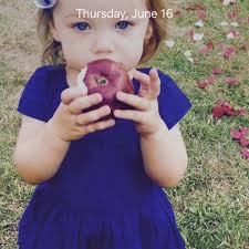 Shelburne Craft School — Winona Garnett