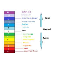 Acid Base Worksheet Answer The Questions To The Acid Base