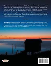 To Evince the blue 2