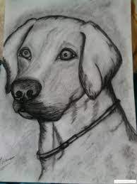 Singlecare.com has been visited by 100k+ users in the past month Desene In Creion Cu Animale Simple CÄƒutare Google Disney Art Drawings Art Drawings Sketches Simple Horse Art Drawing