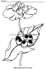 Páginas de colorir imprimíveis gratuitamente para uma variedade de temas que você pode imprimir e colorir. Desenho Para Colorir Tema Jardim Flor Para Colorir