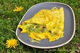 Omelette Boutons De Pissenlit Un Jardin Dans Ma Cuisine Recettes De Cuisine Cuisine Culinaire
