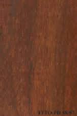 Image result for Pterocarpus megalocarpus