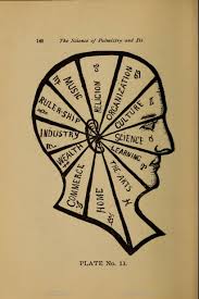 Another Phrenological Diagram In The Science Of Palmistry And Its Relations To Astrology And Phrenology By Irene Smith Palmistry Phrenology Astrology