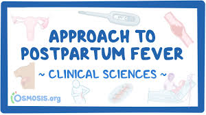 Image result for Postpartum Fever