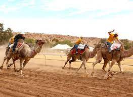 By visiting the desert park kids get to know many secrets of the central australia. Outback Racing Alice Springs Camel Cup Australian Traveller