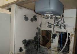 We did not find results for: Don T Want Any Mold Under Your Sink Do These Steps Clean Water Partners