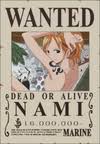 Poster buronan one piece kru topi jerami. Bounty Galeri Wikia One Piece Fandom
