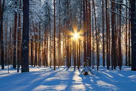 Horoskopi i dates 7 dhjetor 2025