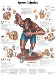 As athletes, we understand the drive to return to sport after an injury. Sports Physical Therapy Sports Physical Therapy Athletic Training Sports Medicine Sports Massage Therapy