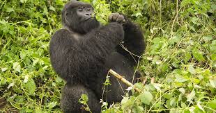 Karen and Brent Bertram