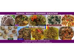 Selain ucapan selamat idul adha, saya juga akan membagikan kumpulan gambar ucapan idul adha. Cendawan Kukur Bongkah Atau Cendawan Segar Lembah Pantai Sekaki My Gedung Iklan Percuma Malaysia