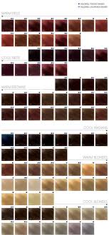 Goldwell Topchic Color Chart 2014 Google Search Hair