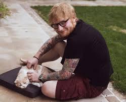 Was bumped about on a rough flight. Ed Sheeran The Meaning Behind His Song Lyrics Capital