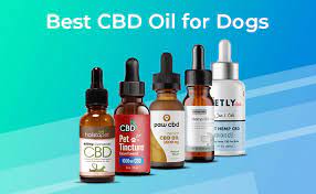 Shop pet releaf's online store for our most popular cbd products. Best Cbd Oil For Dogs Top Products Of 2021 Observer