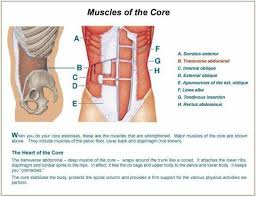 Core Muscles Great Visual For Pts Egzersiz Planlari Egzersiz Egitim