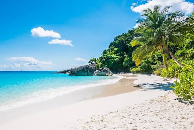 Beach Images - Free Download on Magnific (formerly Freepik)