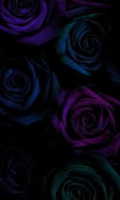 Black and purple flowers wallpaper. Roses Remixed Black Roses Wallpaper Black Phone Wallpaper Purple Flowers Wallpaper