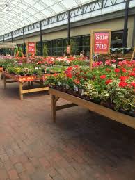 During this time we've been proud to provide the very best products and expert advice to gardeners throughout the uk. Garden Leisure Company Huntingdon Garden Centre Lifestyle Home Garden Farm Shop Whsmith Garden Center Displays Landscape Nursery Plant Nursery