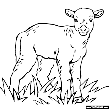Coloring pages are fun for children of all ages and are a great educational tool that helps children develop fine motor skills, creativity and color recognition! Baby Animals Online Coloring Pages