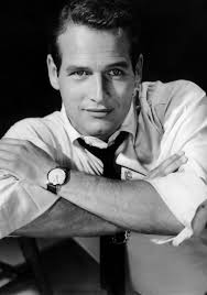 Andre Navarro (andogomez7)