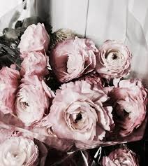 Check out this fantastic collection of rose gold flowers wallpapers, with 54 rose gold flowers background images for your desktop, phone or tablet. Roses Are Beautiful Shared By ðð«ð¢ð­ð­ð§ðð² ððð«ð¯ðð­