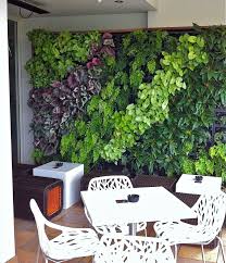 Offering you a complete choice of services which include indoor vertical gardens. Apartment Indoor Garden Wall Garden My Decorative