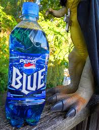 Image result for Pepsi Cola Blue 1995 Fleet