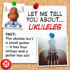 Buzzfeed staff, canada keep up with the latest daily buzz with the buzzfeed daily newsletter! 4 Fun Facts For World Play Your Ukulele Day Explore Awesome Activities Fun Facts Cbc Kids