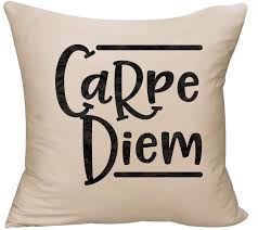 Add comfort and transform any couch, bed or chair into the perfect space! Carpe Diem Quotes Sayings Inspirational Quote Decorative Throw Pillow Cover 18 X 18 Beige Funny Gift Walmart Com Walmart Com