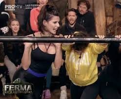 Află cât poți câștiga din creșterea a 10 scroafe mangalița. Pot Scrutinize Funds Cine CaÈtigÄ Ferma 2019 Whisksandwit Com
