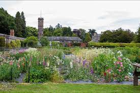 Maybe you would like to learn more about one of these? Open Day At Scottish Cut Flowers Flowers From The Farm