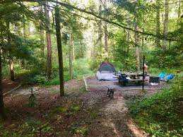 Lake jocassee is an easy day trip from asheville, n.c., or greenville and spartanburg, s.c., and an summer weekends will increase the traffic, but jocassee has so many miles of shoreline that it's. Swim In Serene Water At These Lake Jocassee Camping Sites
