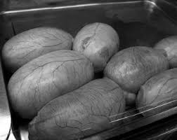 What are rocky mountain oysters. Rocky Mountain Oysters Us Canada Bizarre Food Blog