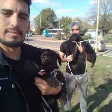 Nelson Segovia (@lovito.segovia) • Instagram photos and videos