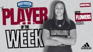 Campbellsville Tigers‎