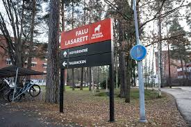 Sju dödsfall kopplas till omstritt journalsystem