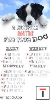 Here Is A Simple Routine For Your Dog Routines Dog Dogs Puppy Schedule Puppy Time
