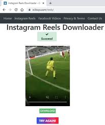 Is there a way to download ig videos? 9 Best Free Online Reels Downloader Services