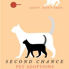 Second chance habitat's (sch) adoption goal is to find loving forever homes for our animals. Second Chance Pet Adoptions Southern California Home Facebook