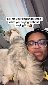 Tell Me Youre S Dog Mom without Saying Youre A Dog Mom