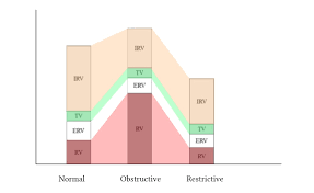 Image result for Pulmonary Function Test Lower Limit of Normal