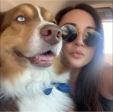 Who needs a dessert plate when you can have a trio of dessert martinis.