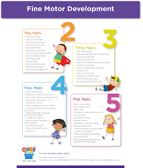 fine motor development infographic from pediatric ot