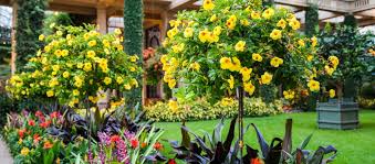 Top gardens in pennsylvania, united states. 4 Glamorous Botanical Gardens In Philadelphia Pa Lawnstarter