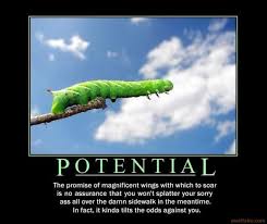 Check spelling or type a new query. 13 Non Inspirational Inspirational Quotes Swan Quote