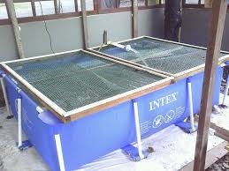 Kolam Renang Portable Ade Pic Pool Yg Ade Gelongsor Utk Kanak2 Umur 3tahun Kolam Renang